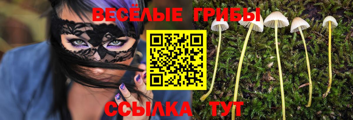 Гусиноозёрск  Псилоцибиновые грибы мухоморы  Галлюциногенные грибы Magic Shrooms  Вход с VPN 