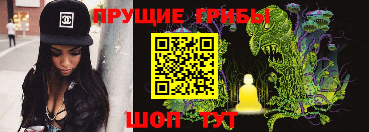 Галлюциногенные грибы Magic Shrooms Гусиноозёрск